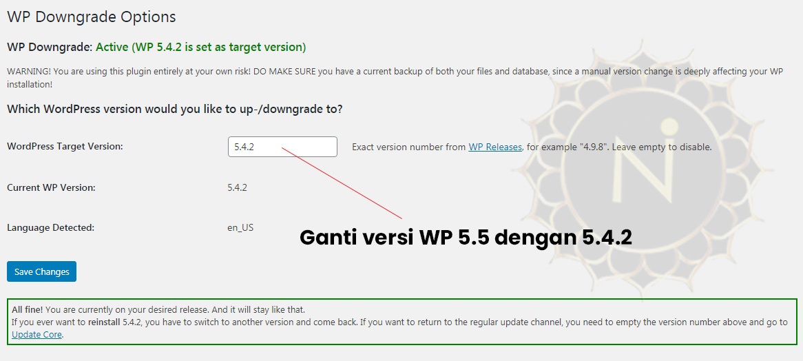 Mengatasi Masalah Update WordPress 5.5